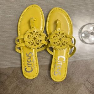 Sam Edelman circus size 8